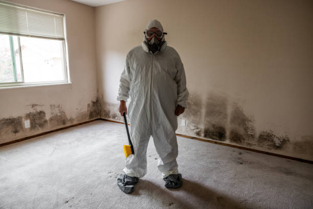 Best Mold Remediation  in Mineral Springs, NC